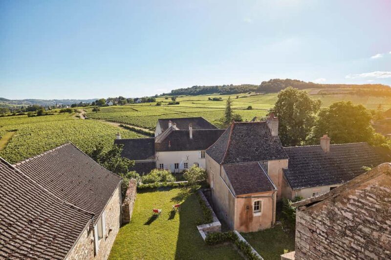 Mercurey: Château de Chamirey and a tasting - Practical Details and Considerations