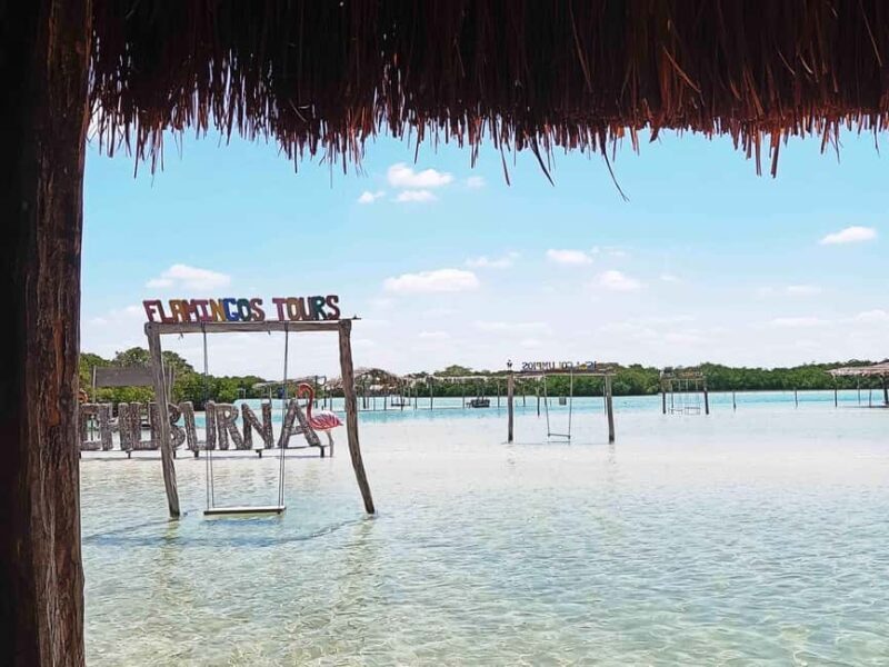 Mérida: Beach tour and restaurant with ocean view with a local guide - A Relaxing Day at the Beaches of the Yucatan Peninsula: Isla Columpios and Progreso