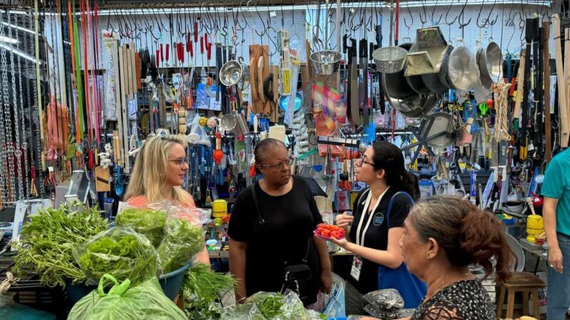 Mérida Cooking Class, taste of Yucatan - Mérida Cooking Class, taste of Yucatan