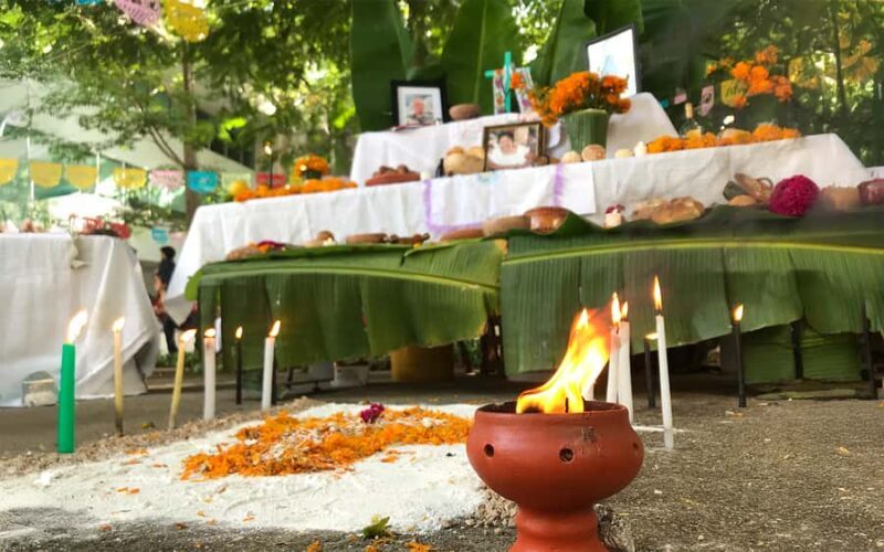 Mérida: Day of the Dead Cooking Experience - A Closer Look at the Experience