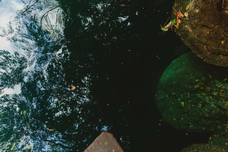 Merida: Explore With The One You Love, Day trip to Cenotes. - An In-Depth Look at the Tour Experience