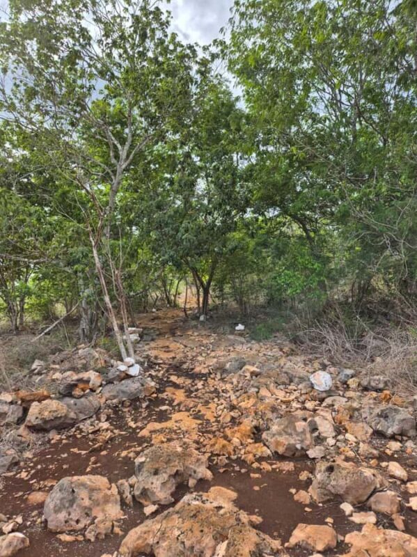 Merida: Hiking, Caving and Bat Watching Tour in the Yucatan - Exploring the Yucatán’s Hidden Corners: An Authentic Adventure