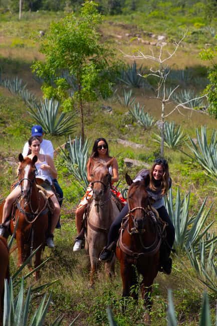 Mérida: Jungle & Cenotes Tour with Horseriding & Lunch - Key Points