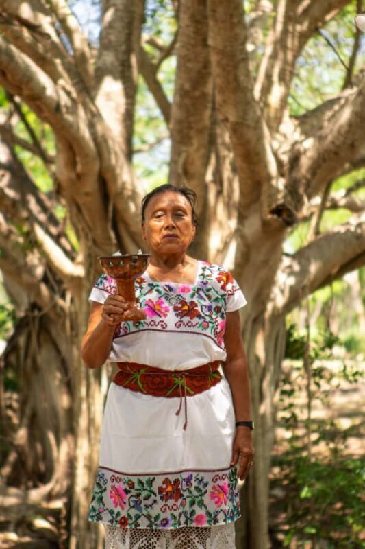 Mérida: Temazcal, Cenote, and Massage Experience - Mérida: Temazcal, Cenote, and Massage Experience — A Deep Dive into Yucatán’s Wellness Traditions