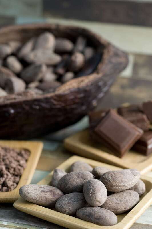 Mérida: Uxmal and Chocolate Museum Choco-Story - Key Points