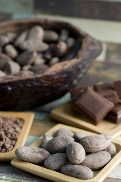 Mérida: Uxmal and Chocolate Museum Choco-Story - Summarizing the Experience