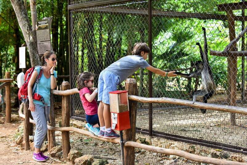 Mérida: Uxmal and Chocolate Museum Choco-Story - FAQ