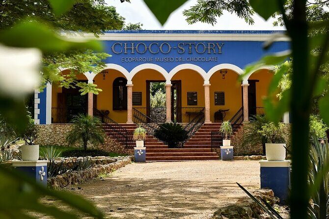 Merida : Uxmal, Chocolate Museum and Cenote with lunch and pick up - Final Thoughts