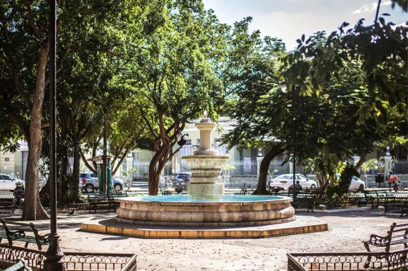 Mérida: Yucatan Flavours Food Tour with 15+ Tastings - Who Will Love This Tour?