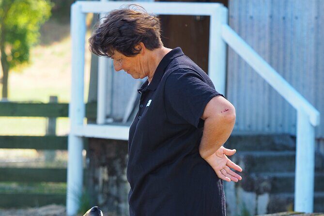 Merino Farm Experience - The Heart of Canterbury’s Rural Charm