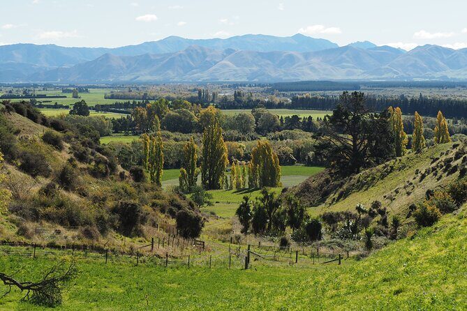 Merino Farm Experience - What to Expect on the Itinerary