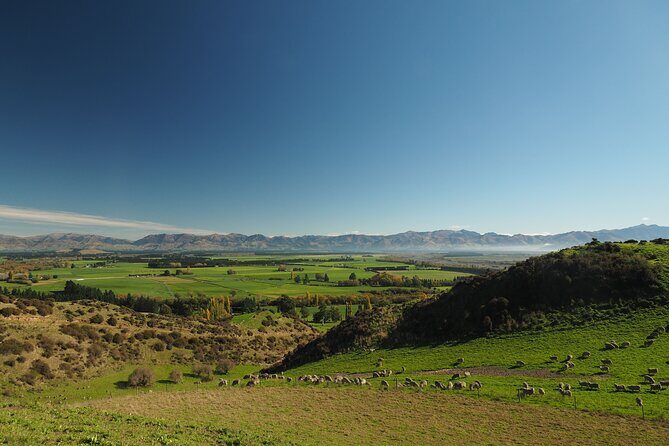 Merino Farm Experience - Who Should Book This Tour?