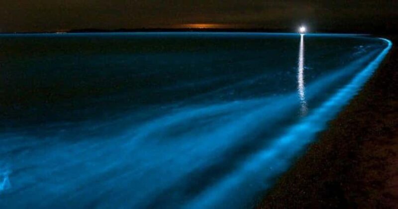 Merritt Island: Banana River, Canaveral Locks and Port Tour - Cruising Through Canaveral Locks and Port Experience