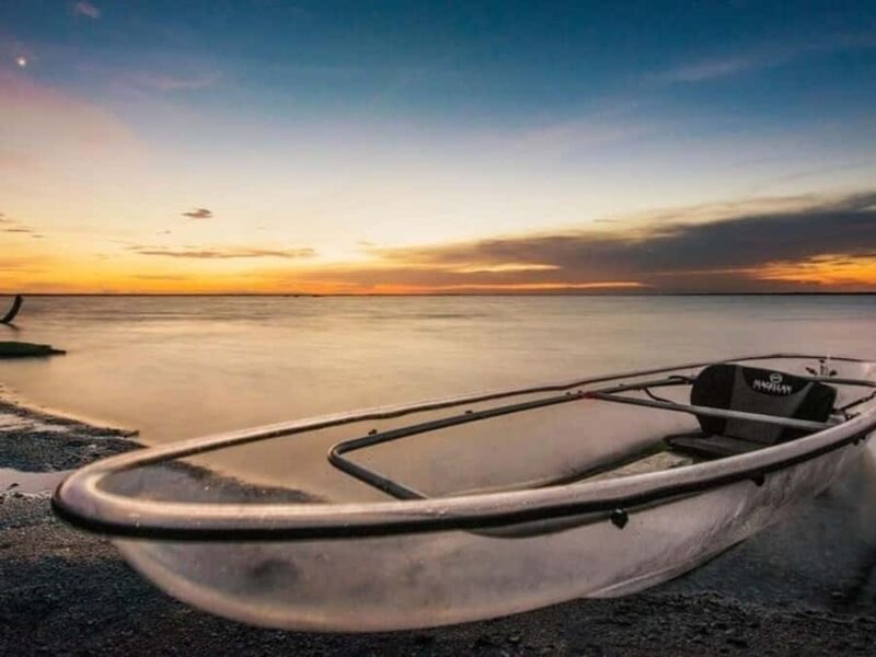 Merritt Island: Clear Kayak Wildlife Tour in National Refuge - Key Points