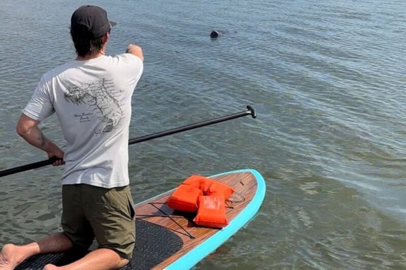 Merritt Island: Manatee Watching Paddle or Kayak Tour - Why Choose This Tour?