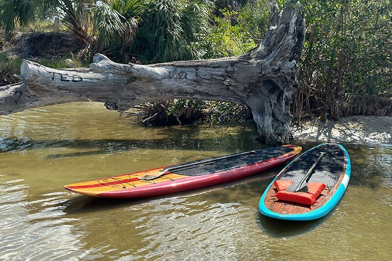 Merritt Island: Manatee Watching Paddle or Kayak Tour - Final Thoughts
