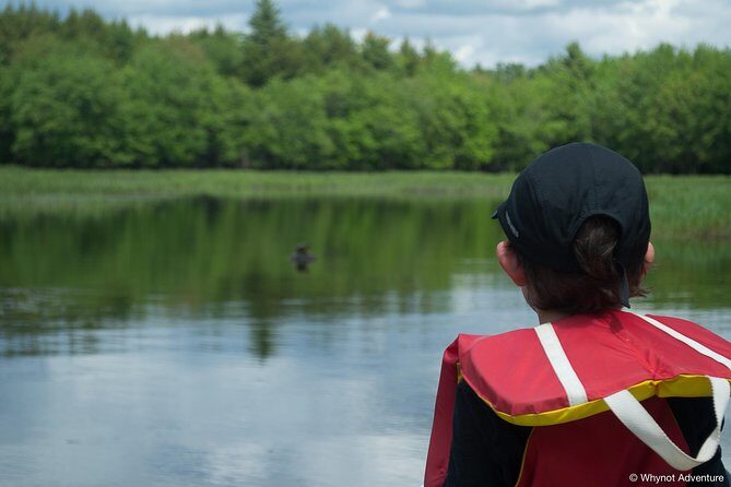 Mersey River Quickie Adventure - 2 Hours - A Closer Look at the Mersey River Quickie Adventure