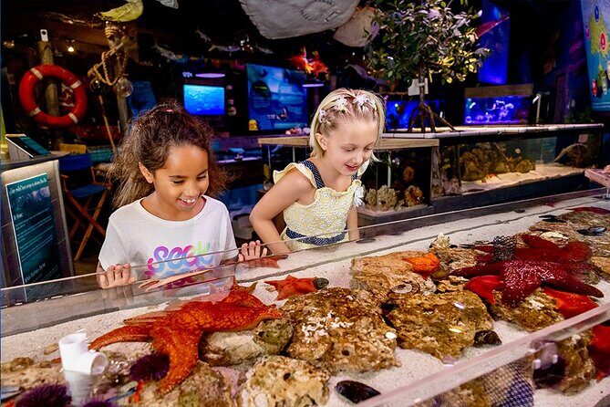 Mertailor's Mermaid Aquarium Encounter General Admission - Experience the Underwater World at Mertailors Mermaid Aquarium Encounter