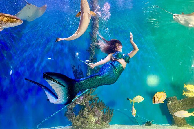Mertailor's Mermaid Aquarium Encounter General Admission - FAQ