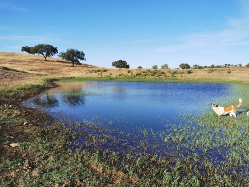 Mértola's Stunning Countryside Picnic - FAQs