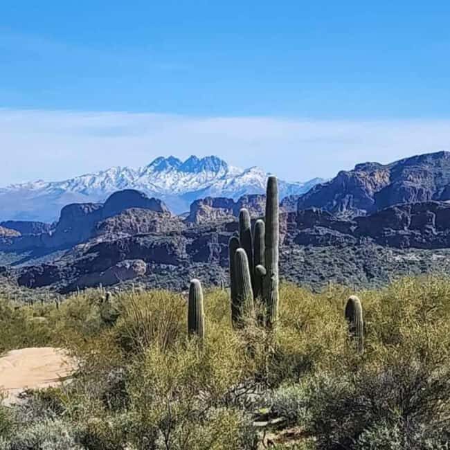Mesa, AZ: Four Peaks Wilderness Off-Road Tour with Lunch - A Detailed Look at the Four Peaks Wilderness Off-Road Tour