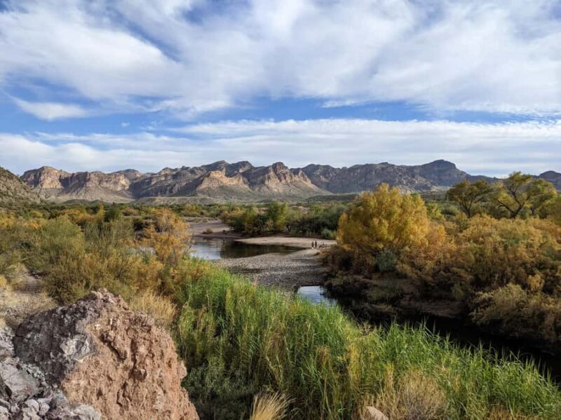 Mesa: Lime Kiln Desert Hike on the Lower Salt River - The Value of a Guided Small-Group Hike
