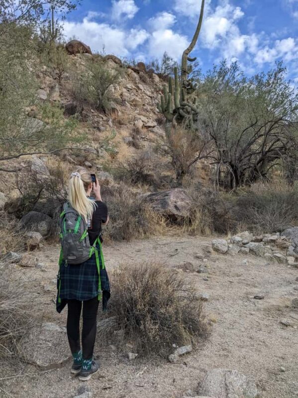 Mesa: Lime Kiln Desert Hike on the Lower Salt River - Authentic Experiences and Practical Details