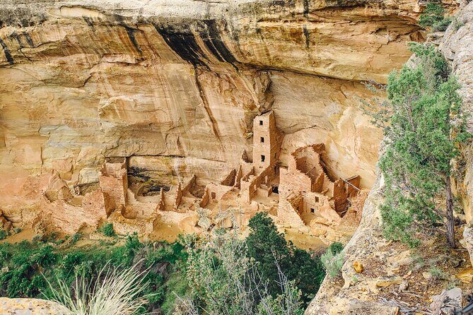 Mesa Verde National Park Half Day Tour - In-Depth Look at the Mesa Verde Half-Day Tour