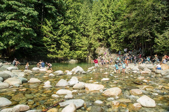 Mesmerizing Nature Walk in Lynn Canyon Park - The Sum Up