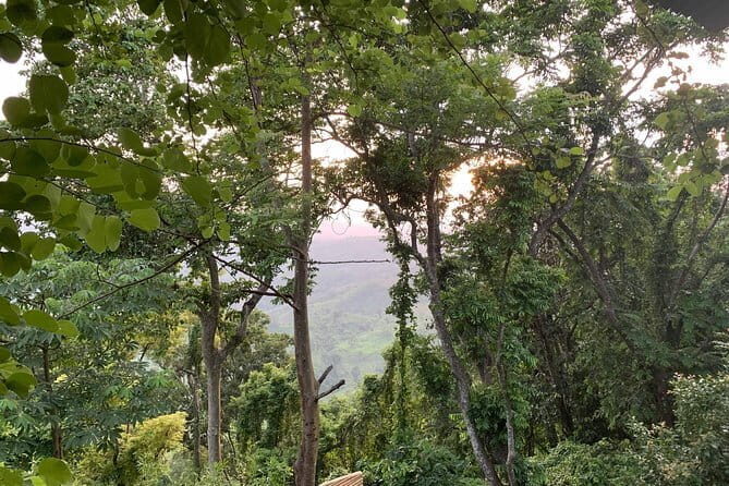 Mesmerizing Tour in Sajek Valley - A Detailed Look at the Sajek Valley Tour