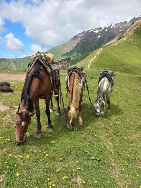 Mestia: Horse Riding Tour to Koruldi Lakes - FAQ