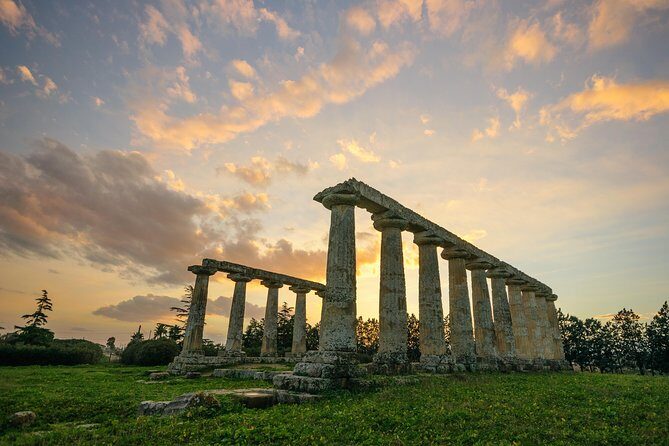 Metaponto: Private Guided Tour to the Archeological Site - A Personalized Journey into Ancient Greece at Metaponto