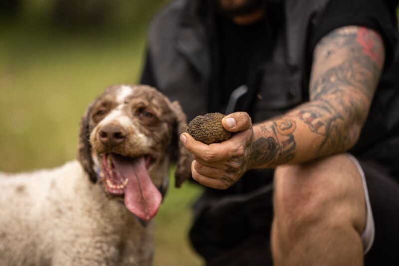 Meteora Truffle Hunting Experience with Lunch & Museum Visit - A Taste of Greece’s Hidden Treasure: Truffle Hunting Near Meteora