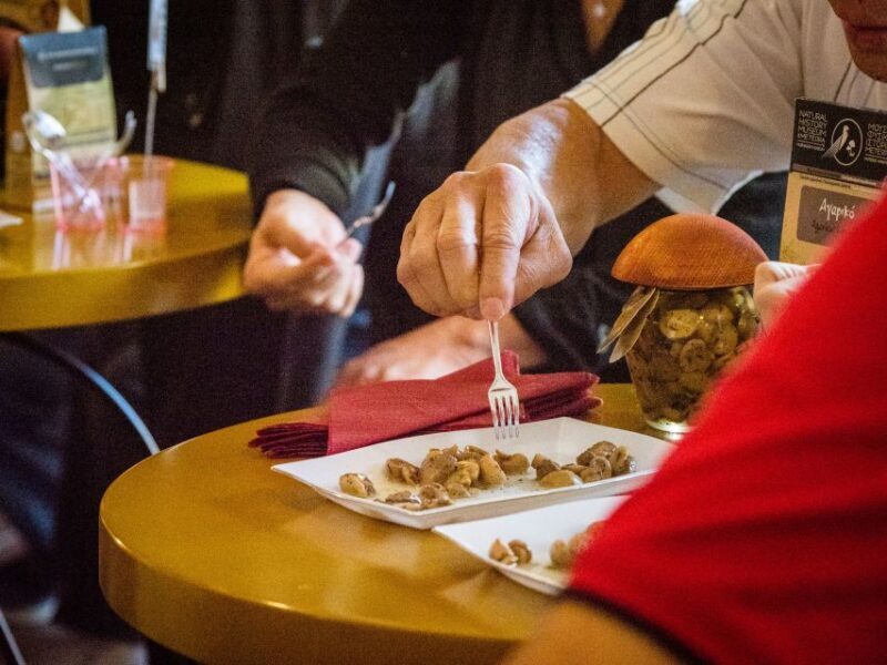 Meteora Truffle Hunting Experience with Lunch & Museum Visit - Final Thoughts