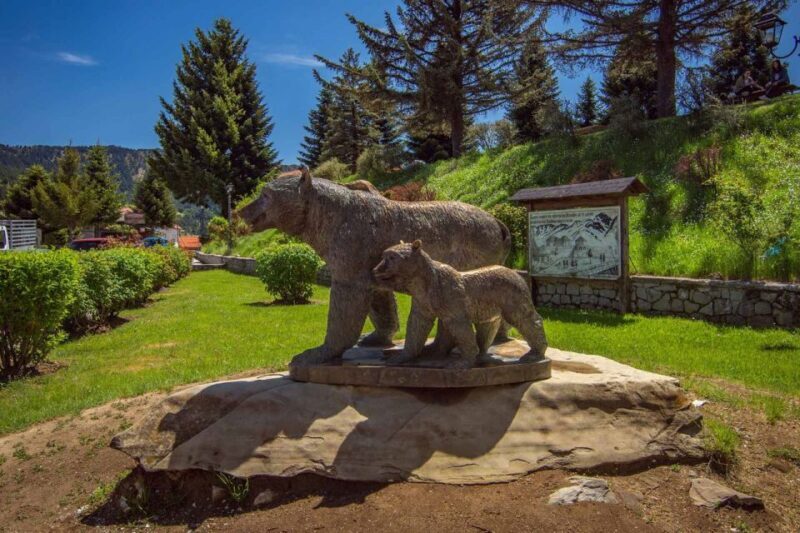 Metsovo: Food, Wine & Culture Walking tour - A Closer Look at the Metsovo Walking Tour
