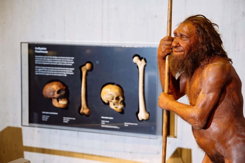 Mettmann: Neanderthal Museum Admission Ticket - Frequently Asked Questions