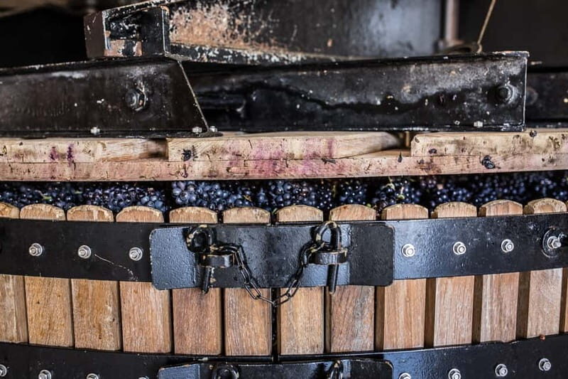 Meunier Champagne Experience tour - Passy-Grigny - A Close Look at the Meunier Champagne Experience Tour