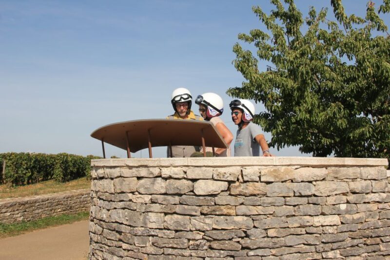 Meursault: Tour of the Vineyards on Motorbike with Sidecar - Comfort and Safety