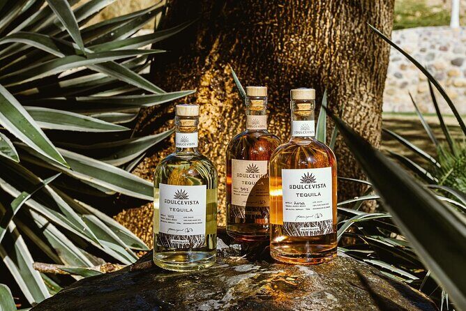 Mexican Cooking Class, Tequila Tasting & Unlimited Margaritas - Key Points