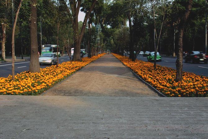 Mexican Craft Beer Tasting Experience - A Deep Dive into the Mexican Craft Beer Tasting Bike Tour