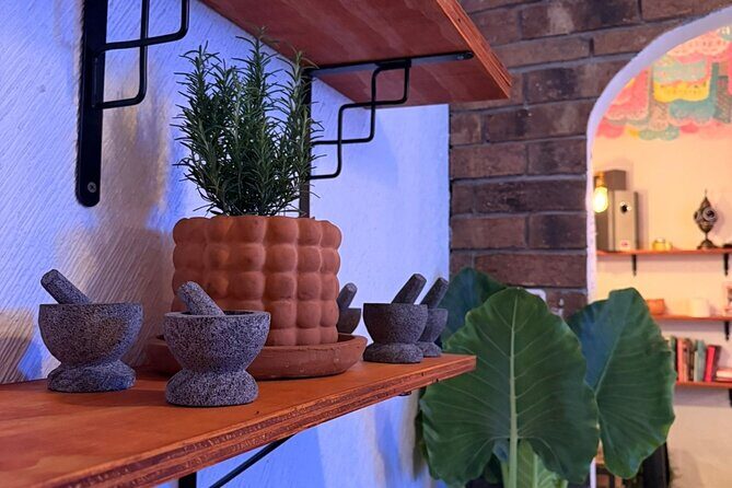 Mexican Mixology Workshop with Panoramic View in Coyoacán - Key Points