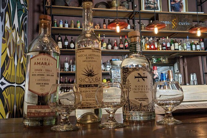 Mexican Spirits Tasting: Experience the Essence of Tradition - Key Points