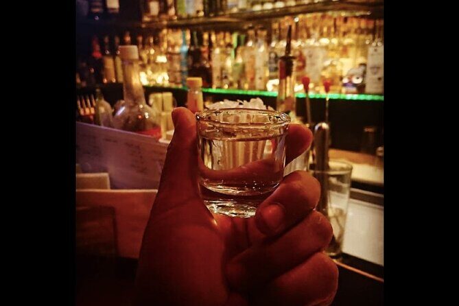 Mexican Spirits Tasting: Experience the Essence of Tradition - Who Will Love This Tour?