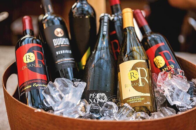 Mexican Wine Tasting & Aroma Sensory Experience - The Educational and Sensory Impact