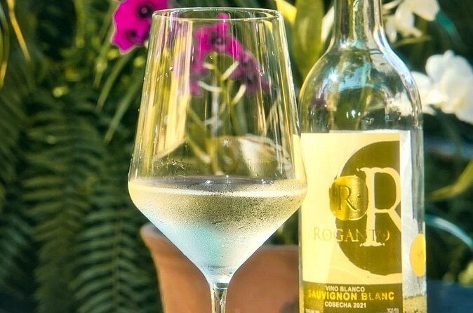 Mexican Wine Tasting & Aroma Sensory Experience - Who Will Love This Experience?