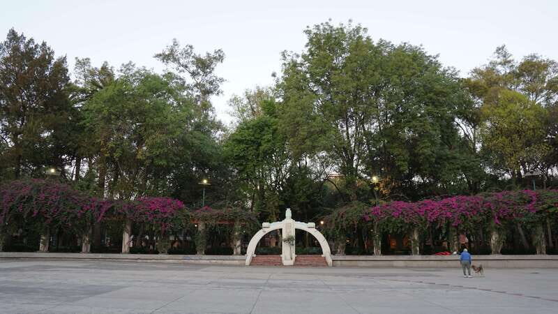 Mexico City: 19 City Highlights Bicycle Tour - An In-Depth Look at the Mexico City Bicycle Tour