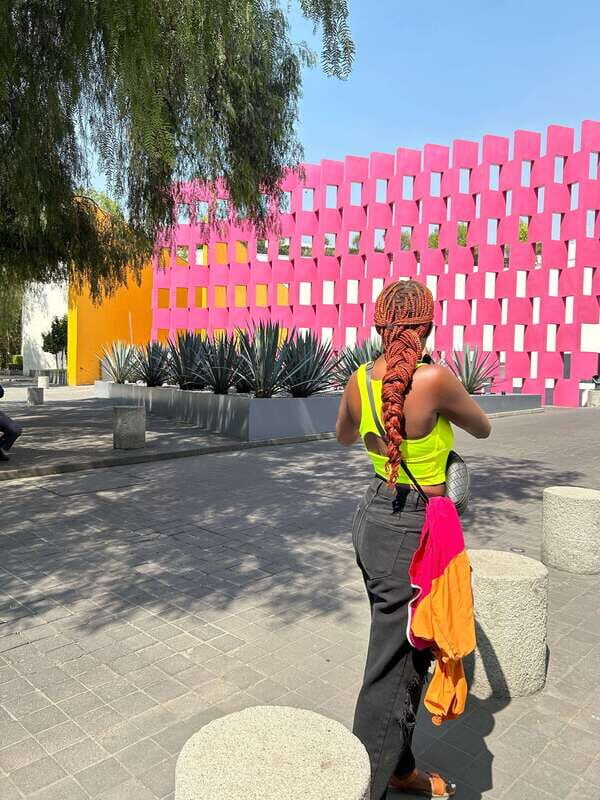 Mexico City: 1960s &1970s Mexican Architecture Walking Tour - A Deep Dive into the Mexico City 1960s & 70s Architecture Tour