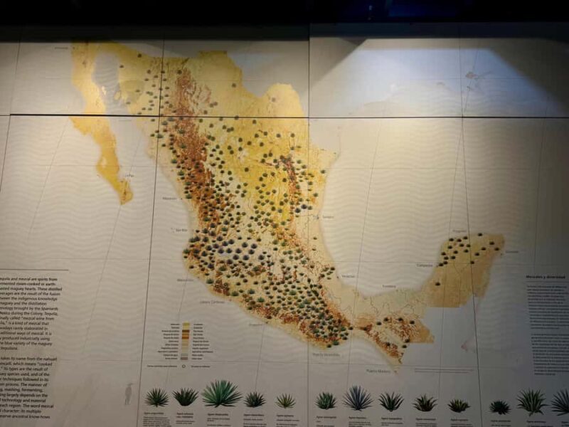 Mexico City: Agave Museums, Tastings and Mariachi Night Tour - Key Points