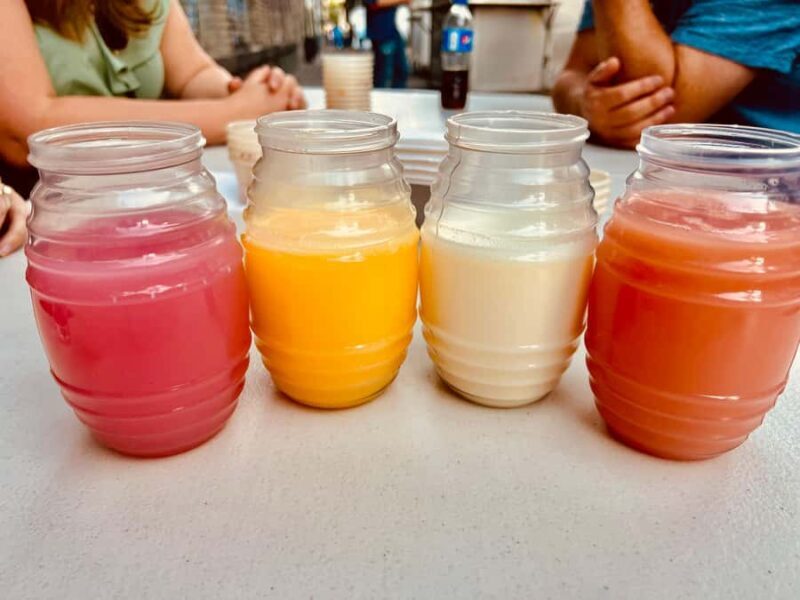 Mexico City: Agave Museums, Tastings and Mariachi Night Tour - Who Is This Tour Best For?