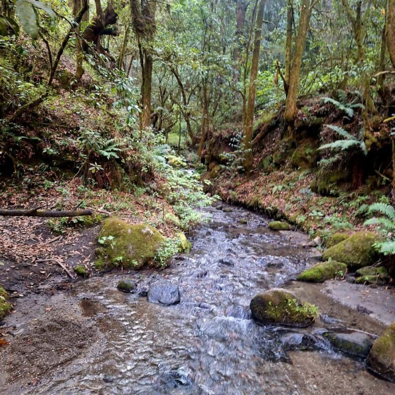 Mexico City: Bubble Waterfall Private Hike with Pickup - Practical Details and Logistics